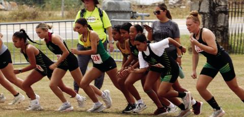 Dublin Lady Lion (above) and Lion (below) varsity cross country runners leave the starting line as the school hosts the annual FCA meet Wednesday, Sept. 19. Both teams placed fourth thanks to some good times (including personal records) by the athletes. Wyndi Veigel-Gaudette | Citizen staff photos
