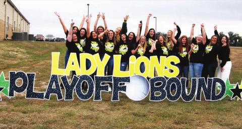 The Dublin Lady Lions