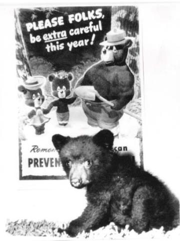A tiny Smokey Bear encourages people to be careful about fires. This August marks the Forest Service icon’s 79th birthday. Courtesy photo/Steve Deffibaugh