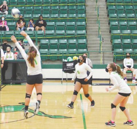 Freshman Lady Lion