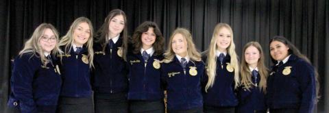 Dublin FFA awards 2023
