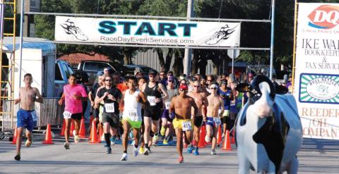 Runners rush in for Stampede