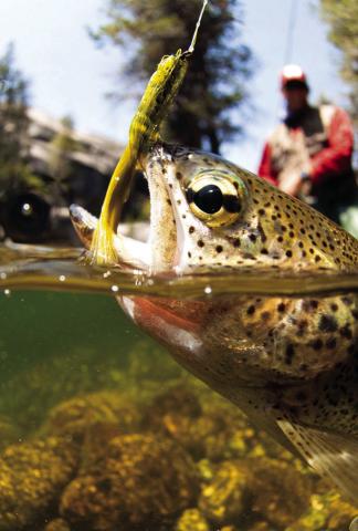 Fishing