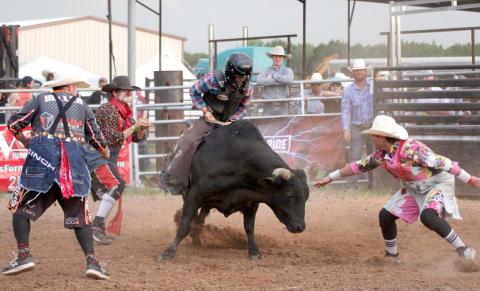 RIDE ’ EM, COWGIRL!
