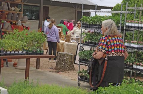 Shoppers brave cooler temperatures for the Grow Together Spring Market at Texas Sage Saturday, March 28. The market showcased a wide range of vendors, live entertainment and of course, beautiful spring plants. The nursery and gift shop is located at 2554 W. Hwy. 6 in Dublin. Paul Gaudette | Citizen staff photo