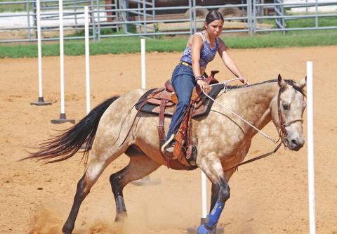 Double N celebrates with Family Fun Day