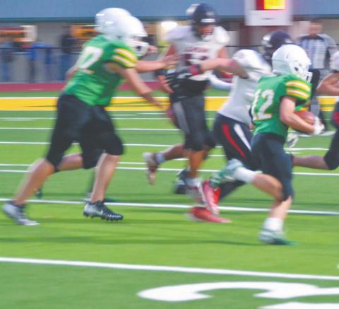 Dublin JV Lion