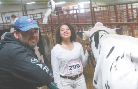 Big Winners at the Stock Show