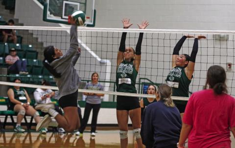 Lady Lions sharpen claws in alumni games