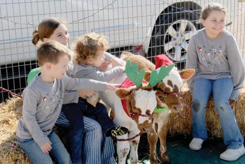 Karsyn, Wyatt, Jessa and Sammy Bamber enjoy petting calves at the second annual Grinchmas Healthy Pet Holiday Event hosted by Greens Creek Veterinary Hospital on Saturday, Dec. 3. The event helped collect funds, pet food and products for Inside Voice, a pet nonprofit. The event also allowed owners to participate in a free rabies clinic, citizens to do some holiday shopping or participants to enjoy Max’s petting zoo. For more photos our Facebook. Wyndi Veigel | Citizen staff photo