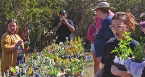 People, poses and plants
