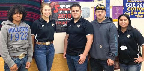 The Dublin FFA Cotton Judging Team