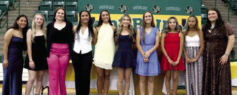 Softball Post District Honors