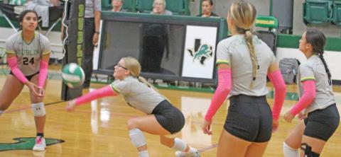 Dublin Lady Lion Summer Anderson digs to return the ball to Eastland in the Oct. 25 home game. Paul Gaudette | Citizen staff photo