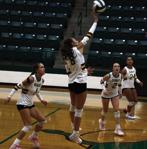 Lady Lions scrap in home battles