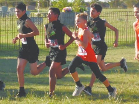 Dublin JV cross