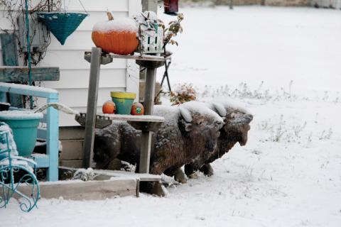 SNOW DAY!