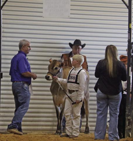 A competitor in the Dairy cattle show is greeted by Texas AgriLife Extension Agent Lonnie Jenschke at the annual Erath County Junior Livestock Show Monday, Jan. 5. Paul Gaudette | Citizen staff photo