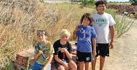 Boy Scouts help brick by brick