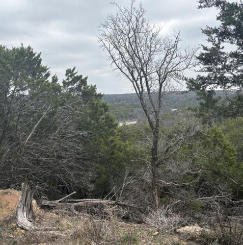 A trail in Palo Pinto Mountains State Park showcases a view of Tucker Lake. The new park is now open to visitors, and heavy crowds are expected. Amanda Christman | Courtesy photo