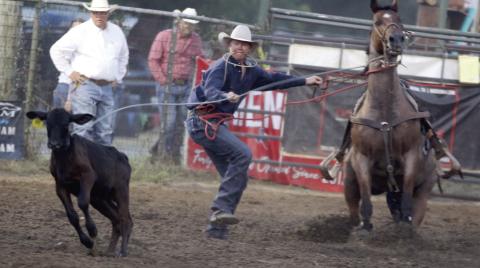 Byrn Rodeo Productions
