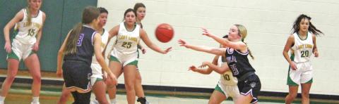The Dublin Lady Lions