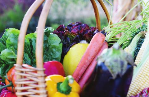 Designed for health educators, the Connecting Agriculture and Health – From the Ground Up program is set for Jan. 11 in Waco. Kim Topp | Texas AgriLife photo