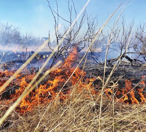 Donations of hay, feed and fencing supplies are needed to support those impacted by the devastating Eastland Complex wildfires that have already burned more than 45,000 acres in Texas. | Texas A&amp;M Forest Service photo