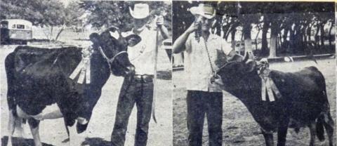 Dean Bradley (left) won a grand champion female ribbon in the first Free Fall Fair in 1955. Harold Gilbreath (right) also won a grand champion ribbon for his Jersey Bull entry. Courtesy photo