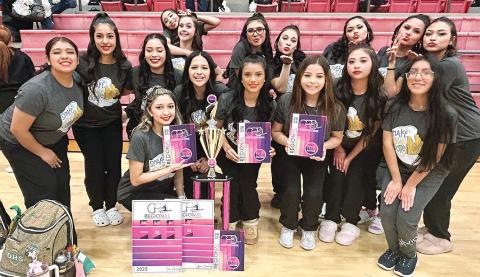 The Dublin Dandi-Lions earned several awards when they wrapped up regional competition Feb. 1. At competition, they earned 1st in Class Military, 1st in Class Hip Hop, Runner Up in Pom and Runner Up in Officer Jazz. | submitted photo