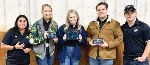 Dublin FFA places high