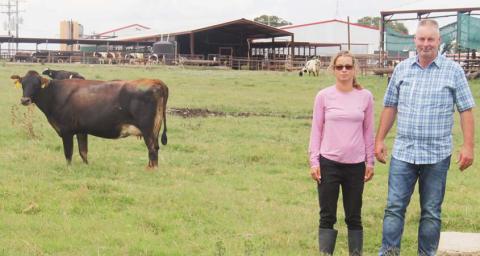 Family dairy grows organically