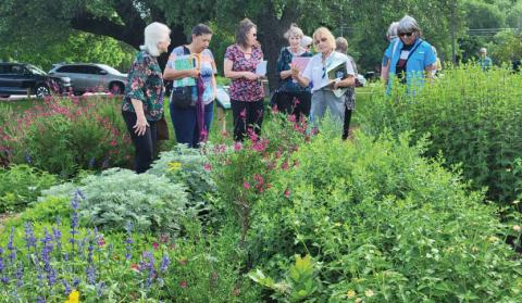Master Naturalist Peggy Tolboom shows members of the Woman’s Thursday Club of Dublin the butterfly garden at the Dublin Public Library, educating them about native flowers and pollenators. Wyndi Veigel | Citizen staff photo