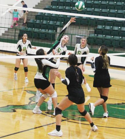 Dublin JV Lady Lions