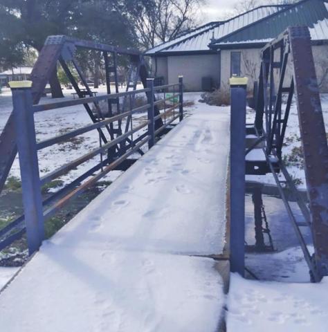 Icy Bridge
