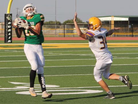JV claims victory over Merkel