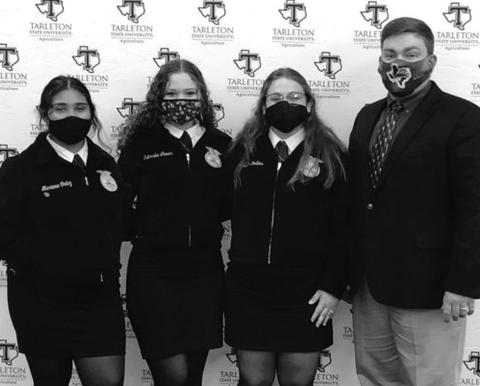 The Dublin FFA