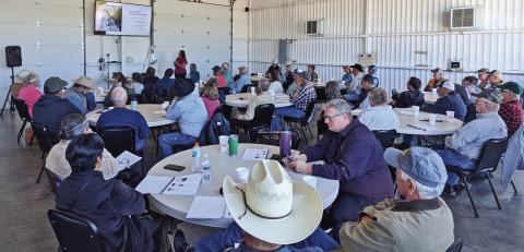 A Cattle Gathering Beef Program