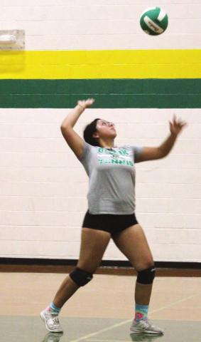 More than 30 Dublin volleyball players