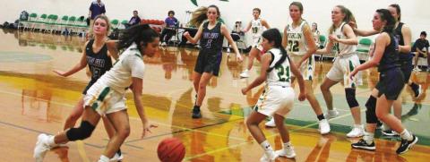 Dublin JV Lady Lions