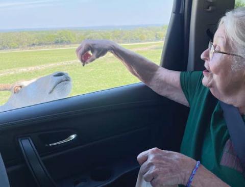 A Three Oaks resident holds out food for a friendly animal in a recent trip to Fossil Rim in Glen Rose. | submitted photo