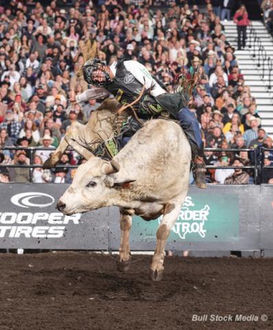 Dubliner Dalton Kasel and the Austin Gamblers recently claimed the 2024 Professional Bull Riders World Team Championship. Courtesy Bull Stock Media