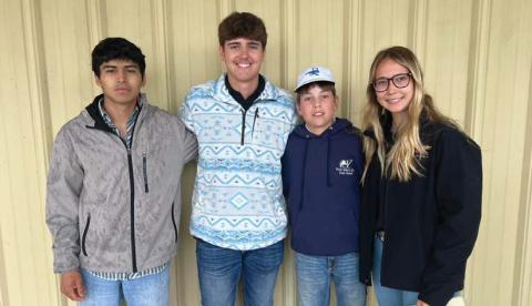 FFA Dairy Cattle