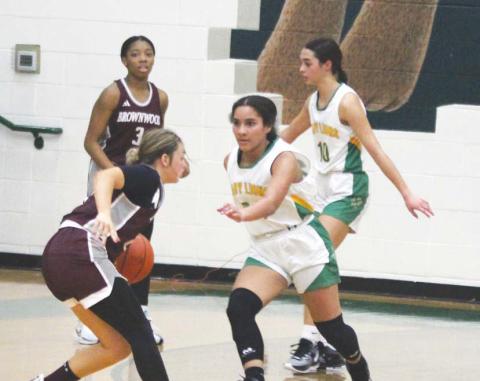 Adriana Stewart and Olivia Salyer block offense at the net in a recent Dublin Lady Lion home game. Paul Gaudette | Citizen staff photo