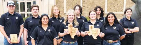 Dublin FFA places high in state