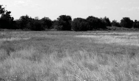 Dublin Downs, sometimes known as The Race Track, was created in the late 1800s for horse racing. Some say parts of the original track are still visible. More recently, the land was used for caliche storage for paving roads. Courtesy photo