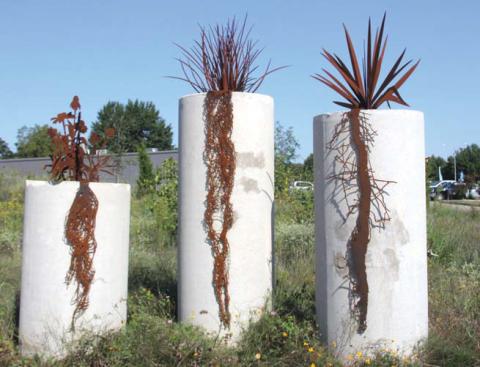 A root system display helps educate on how plants aid with flood control at The Ditch Water Discovery Center next to Middle Trinity Groundwater Conservation District on Wolfe Nursery Road in Stephenville. Wyndi Veigel-Gaudette | Citizen staff photo