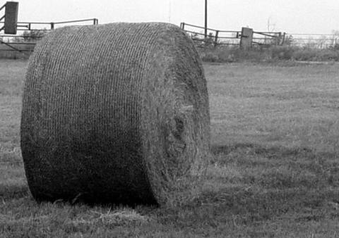 Comanche Extension Agent Michael Berry