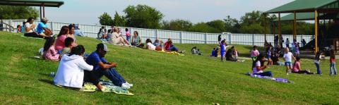 A pleasant day for a picnic
