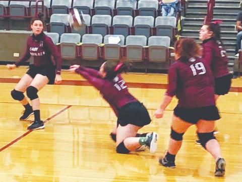 Lingleville Lady Cardinal